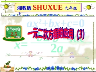 一元二次方程的应用（）