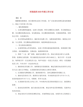 村党组织2020年度工作计划 