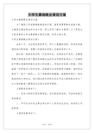 大学生募捐晚会策划方案