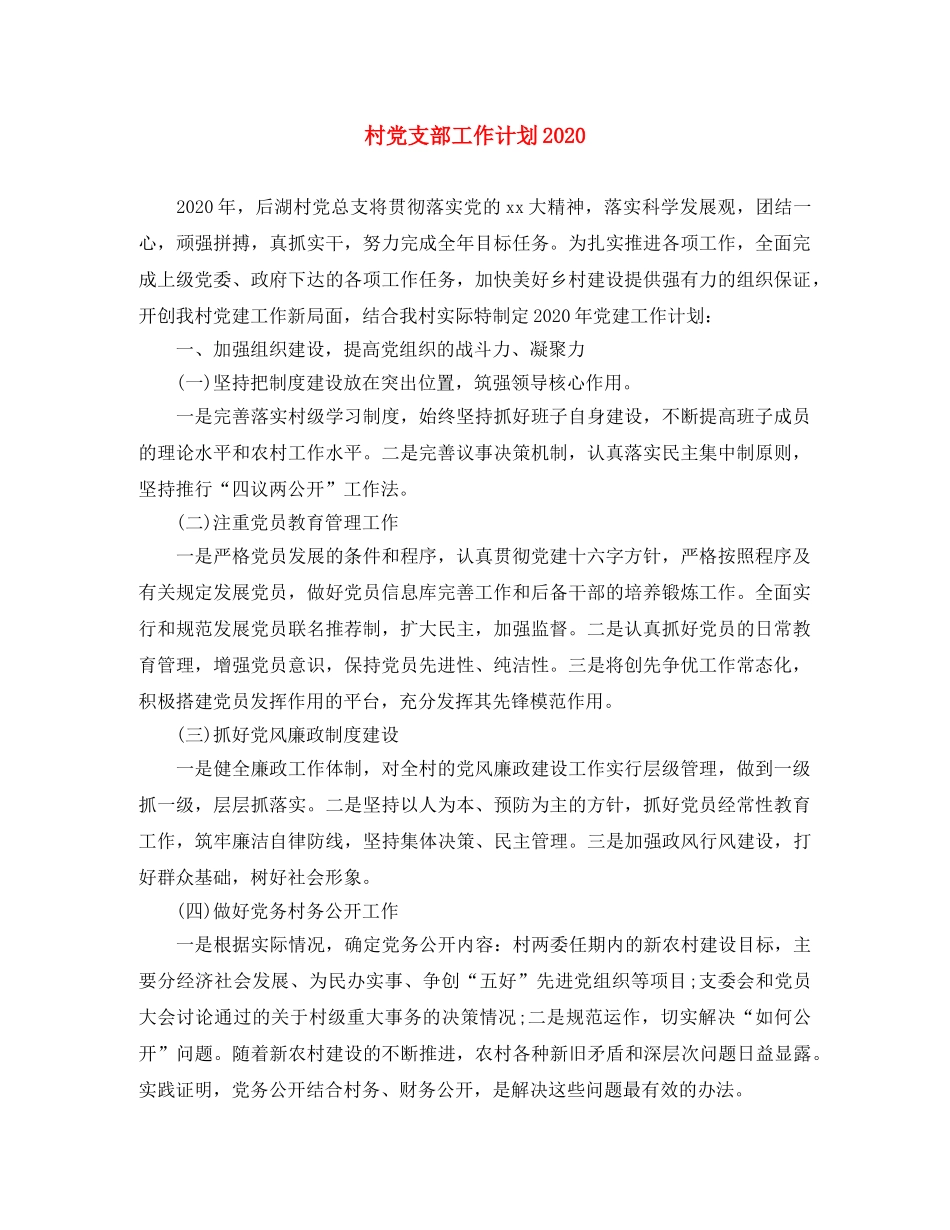 村党支部工作计划2021 _第1页