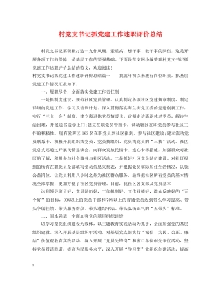 村党支书记抓党建工作述职评价总结 