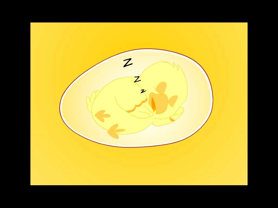 《世界多美呀》课件_第2页