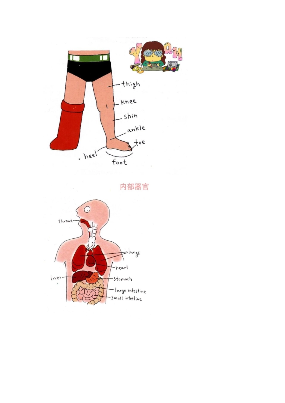 常用英语教学图片资源_第2页