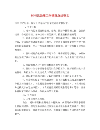村书记助理工作情况总结范文 