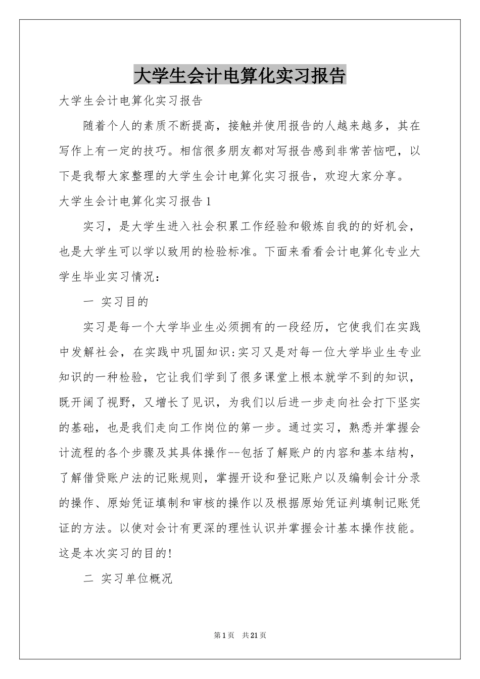 大学生会计电算化实习报告_第1页