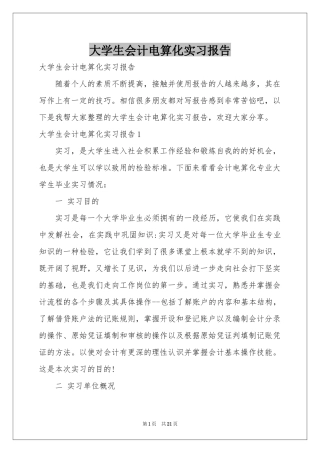 大学生会计电算化实习报告