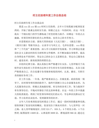 村主任助理年度工作自我总结 