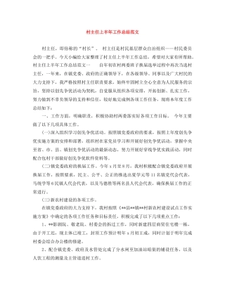 村主任上半年工作总结范文 