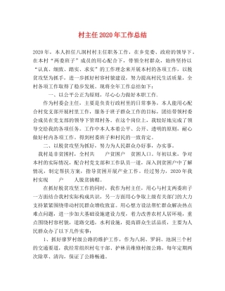 村主任2020年工作总结 