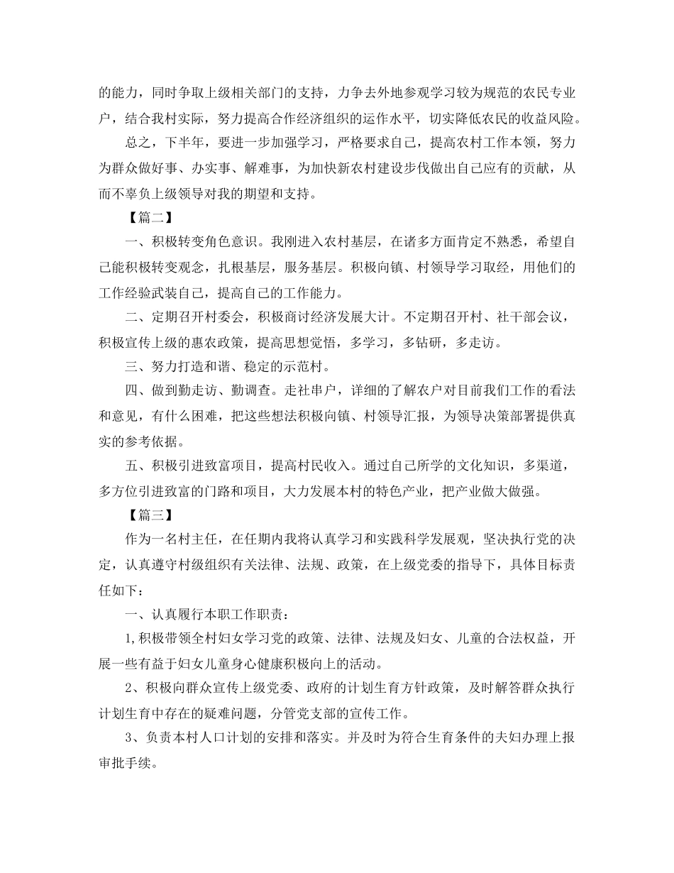 村主任2020年度工作计划 _第3页