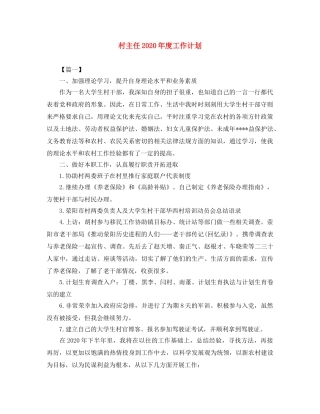 村主任2020年度工作计划 