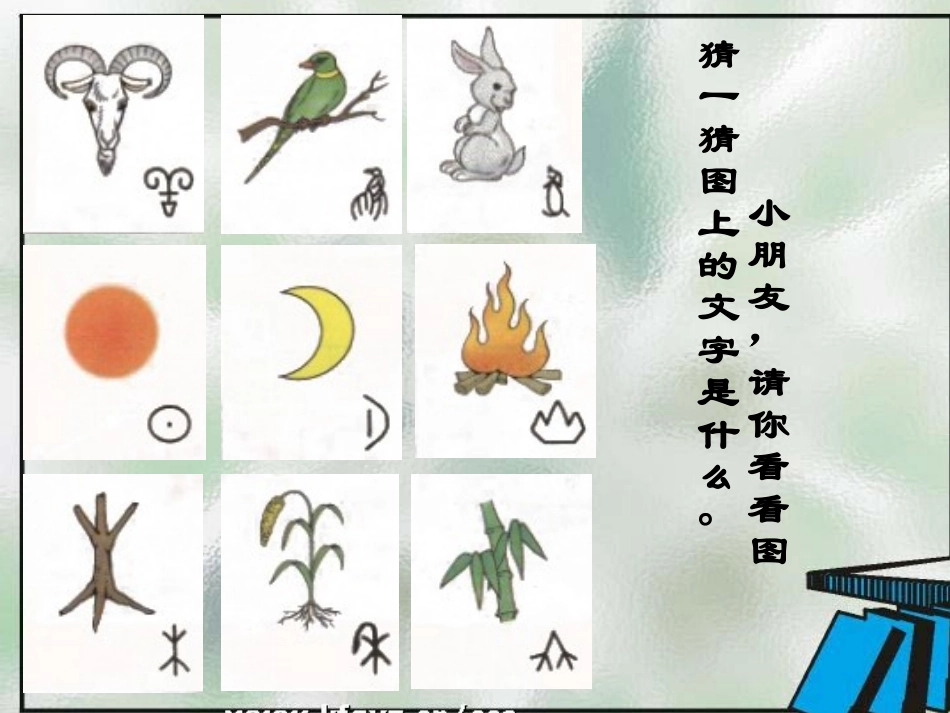 《口耳目》优秀课件_第2页