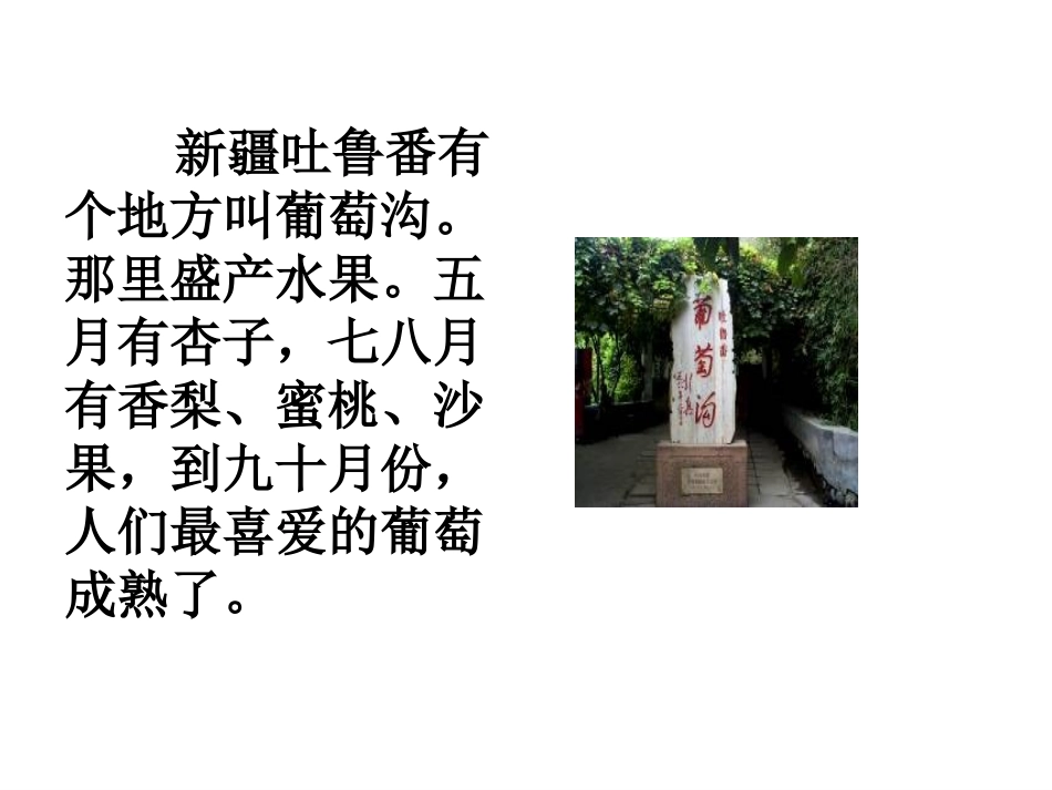 小学语文二年级下册第十课_葡萄沟_课件_第2页
