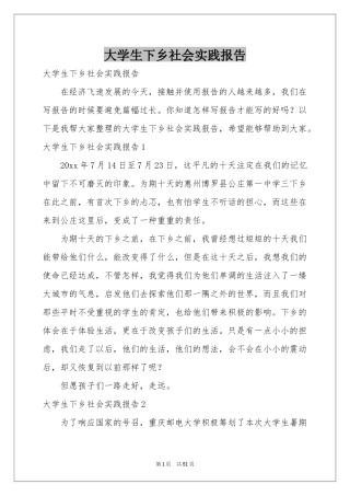 大学生下乡社会实践报告