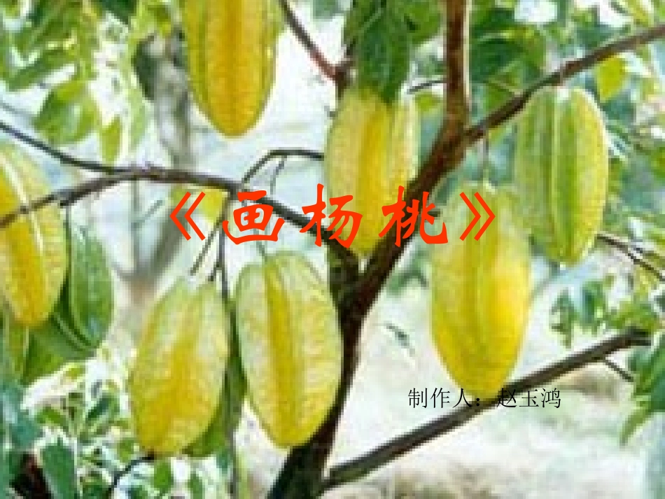 《画杨桃》课件_第1页