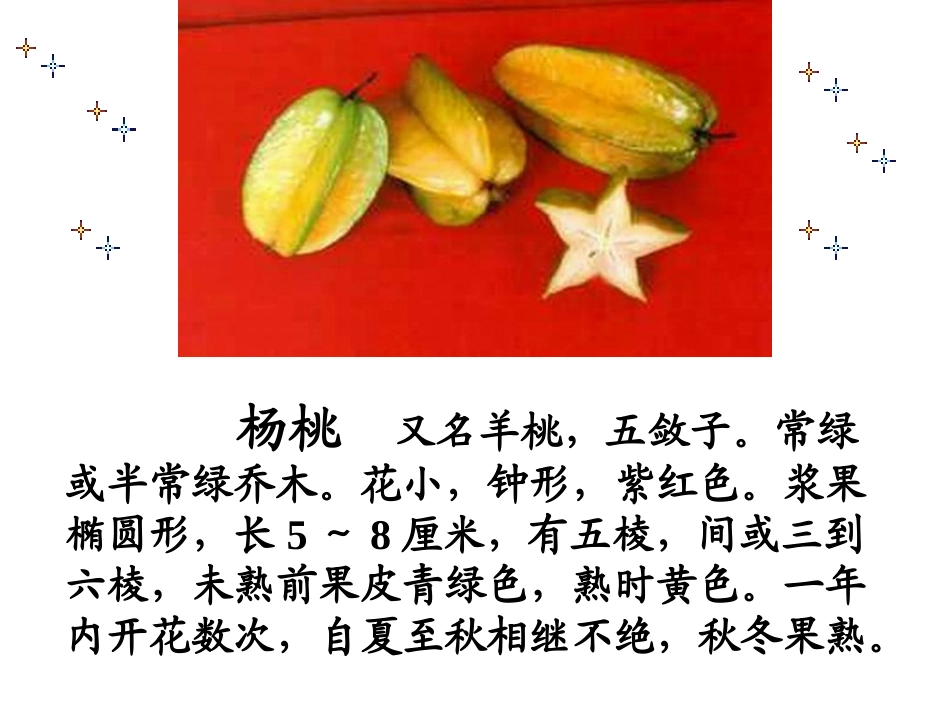 《画杨桃》课件_第2页