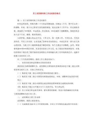 员工试用期考核工作总结报告格式
