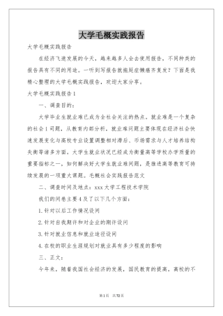 大学毛概实践报告