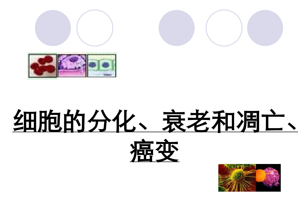 细胞分化、衰老、凋亡和癌变_第1页