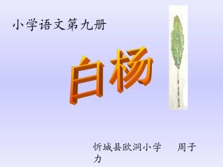 《白杨》课件【页】