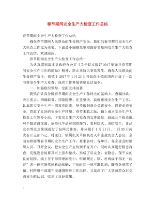 春节期间安全生产大检查工作总结 