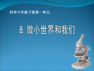 -_微小世界和我们