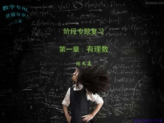 阶段专题复习：有理数