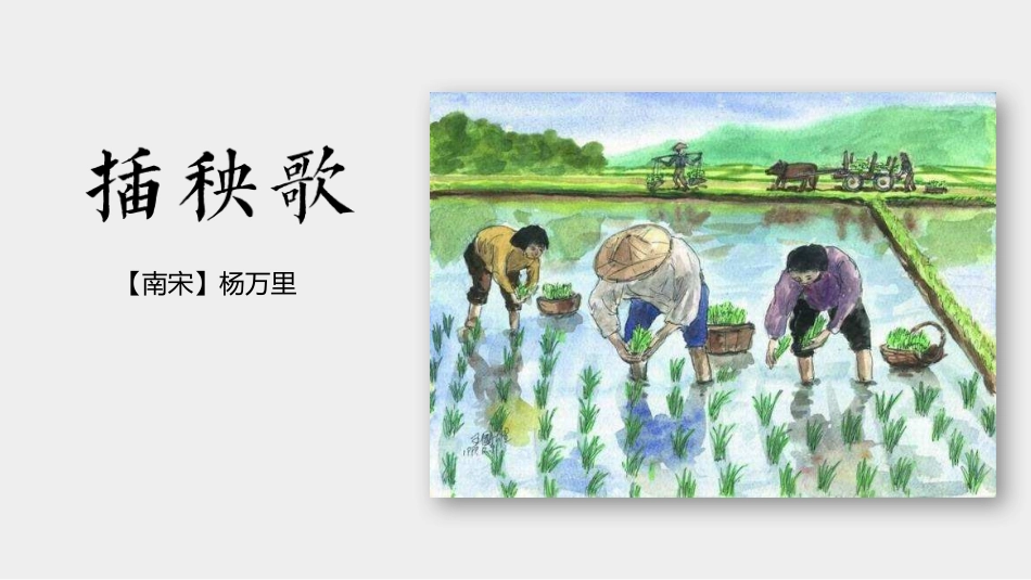 [25280311]部编版高一必修上册《插秧歌》课件16张_第2页