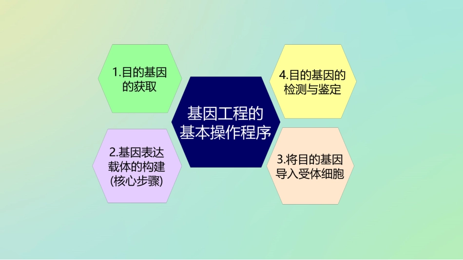 基因工程的基本操作程序(汉水丑生课件)_第2页