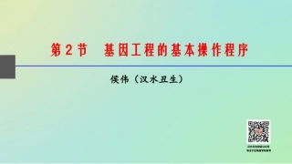 基因工程的基本操作程序(汉水丑生课件)