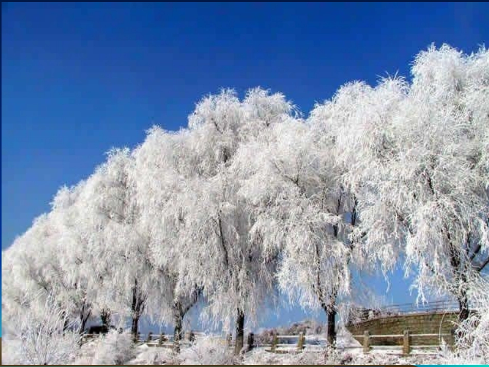 《雾凇》课件_第3页