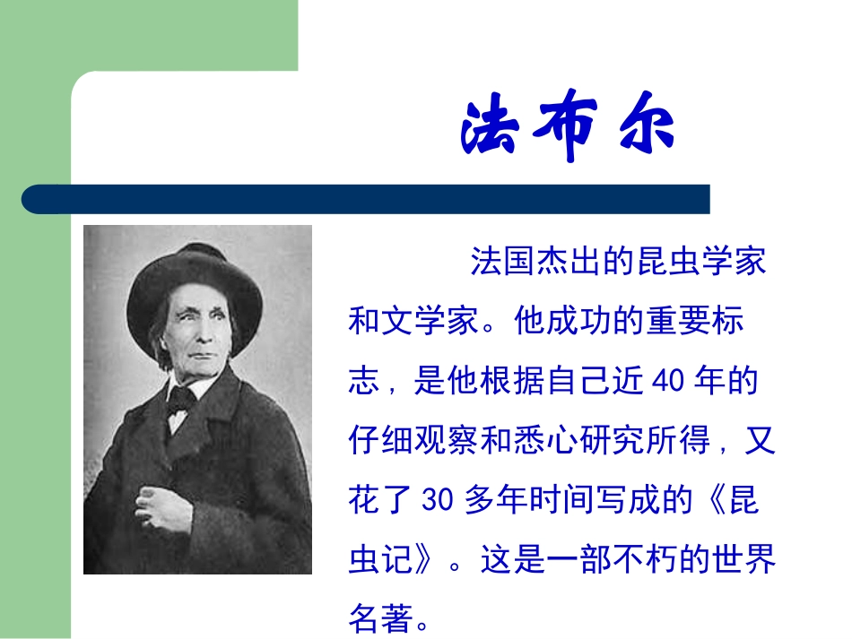 装满昆虫的衣袋_第2页