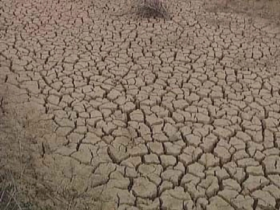 中班社会活动《节约用水，从我做起》_第2页