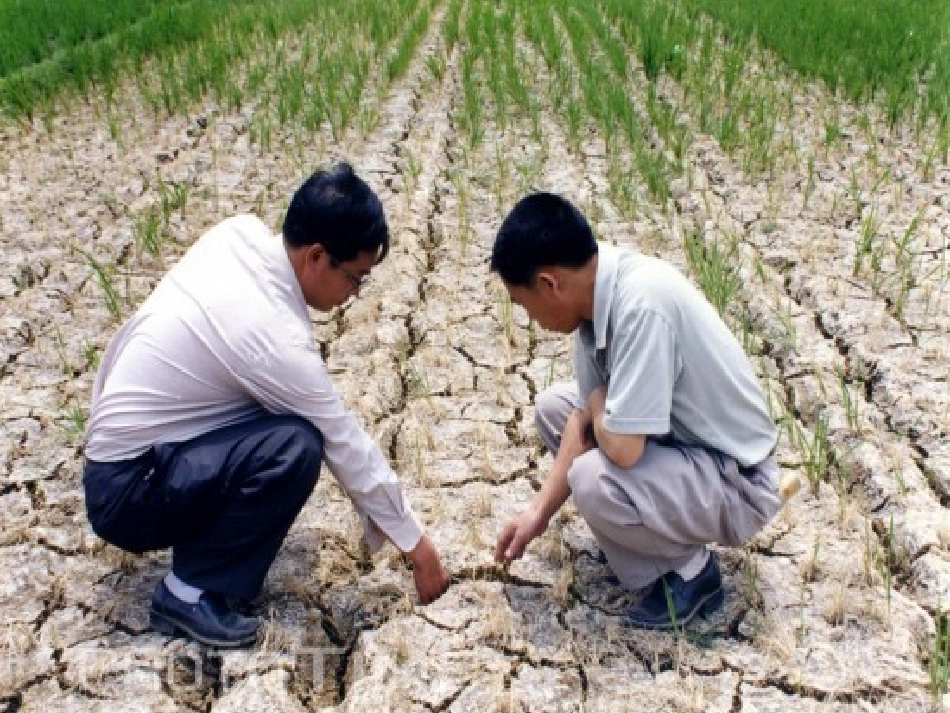 中班社会活动《节约用水，从我做起》_第3页