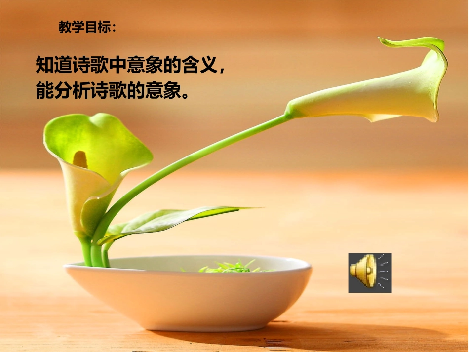 诗歌的意象（罗亚娟）_第2页