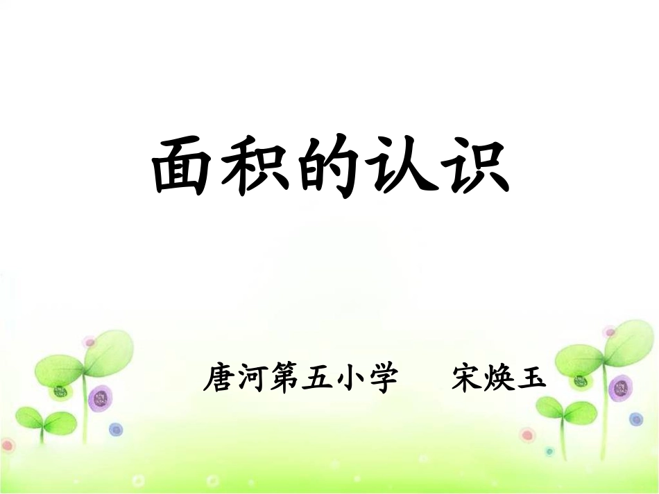 《面积的认识》课件宋焕玉_第1页