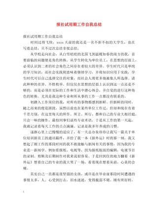报社试用期工作自我总结 