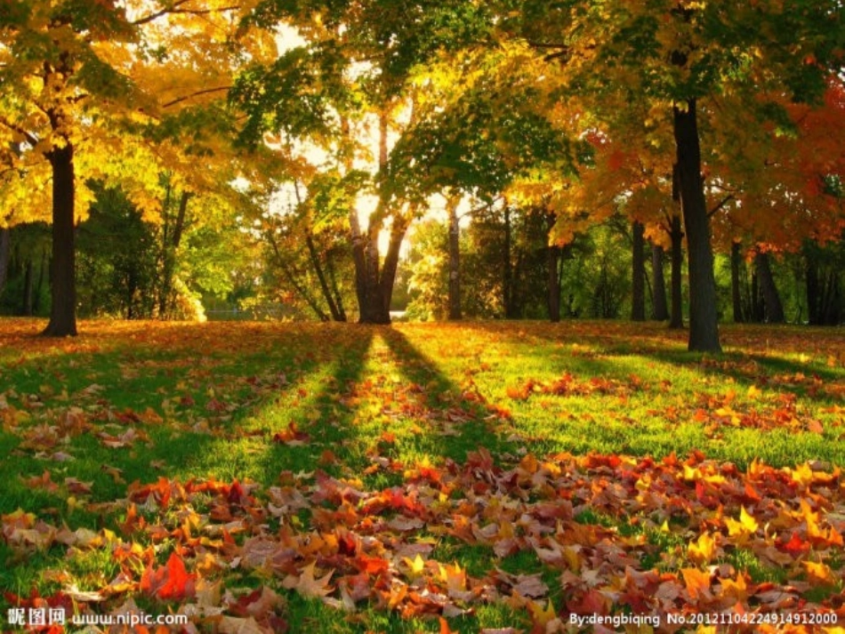 、古诗山行课件_第1页