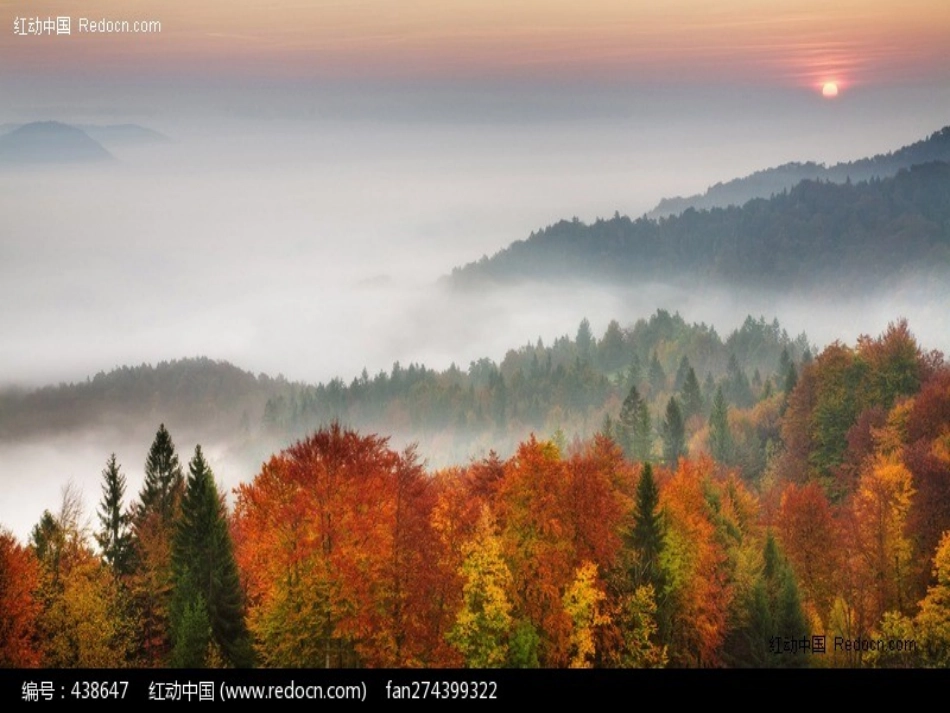 、古诗山行课件_第2页