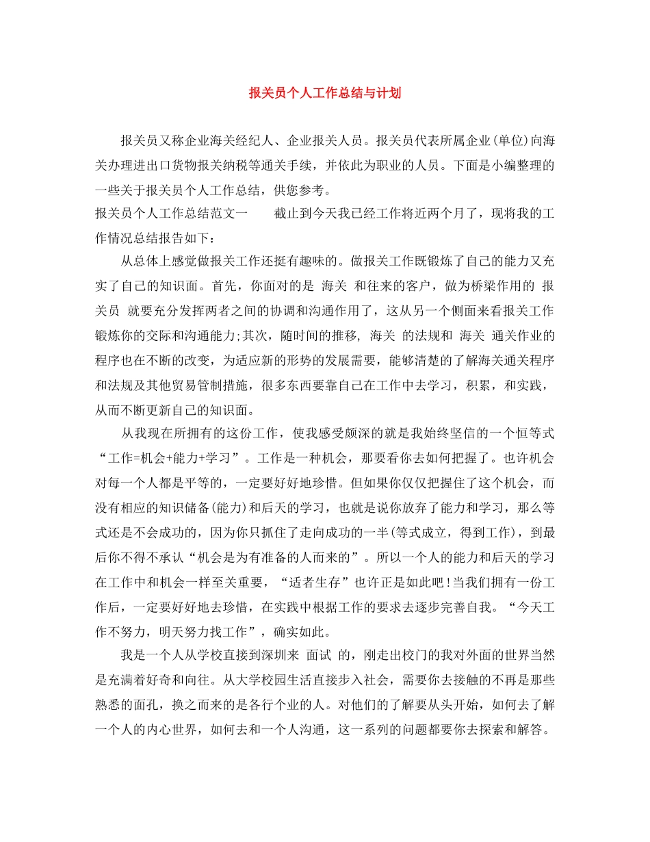 报关员个人工作总结与计划 _第1页