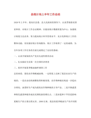 县统计局上半年工作总结