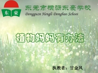 植物妈妈有办法 ()