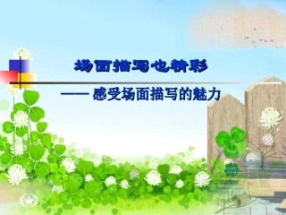 场面描写也精彩