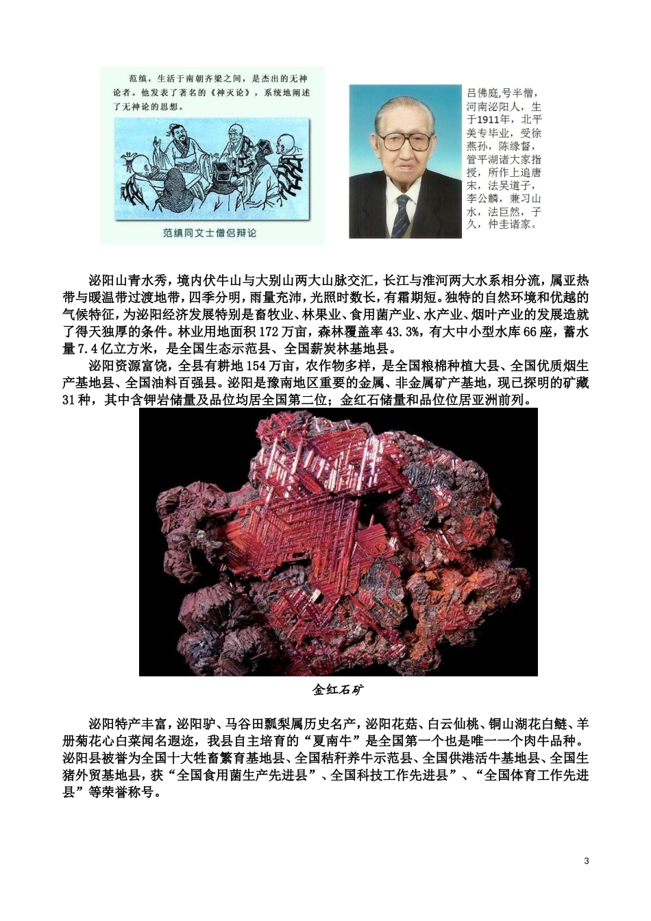 之四----泌阳篇修正20181110_第3页