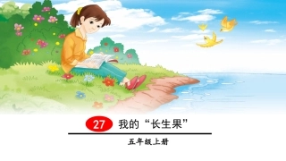 （2019秋）27我的“长生果”