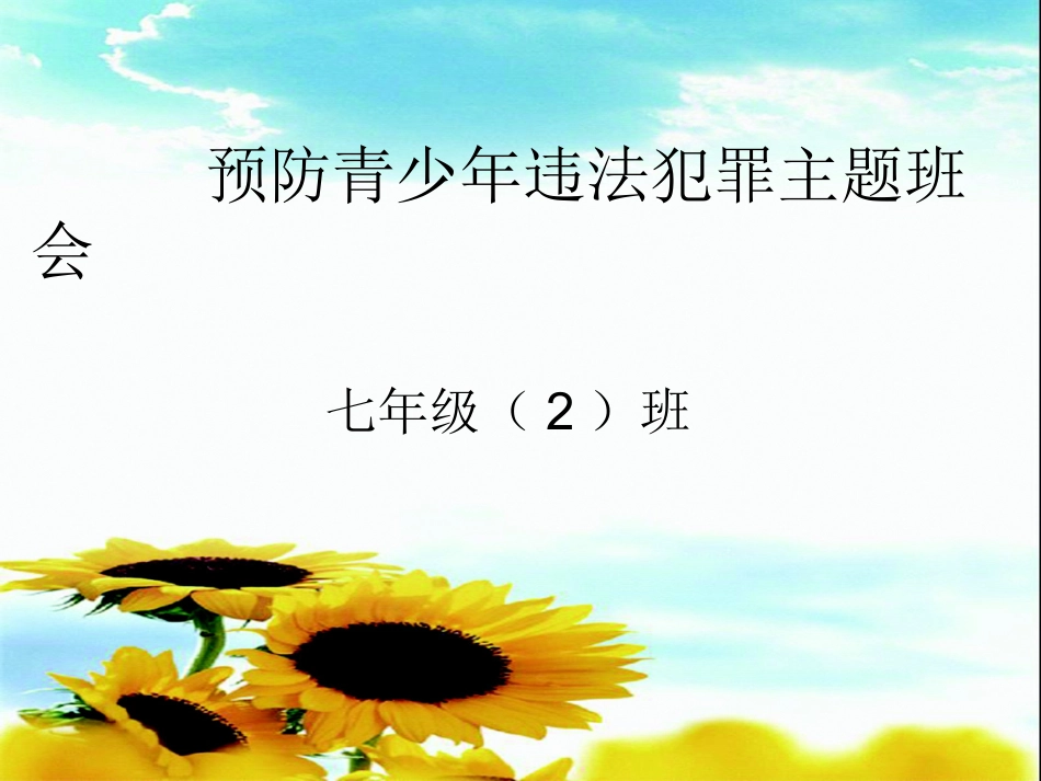 预防青少年犯罪主题班会_第1页