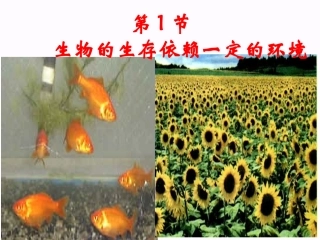 生物：第23章第1节_生物的生存依赖一定的环境