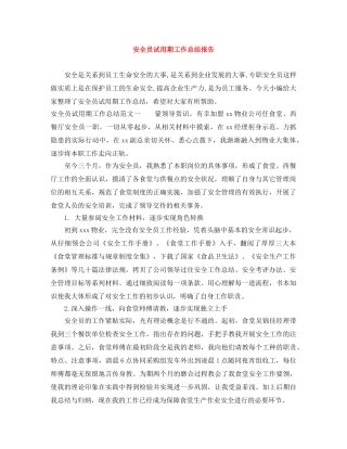 安全员试用期工作总结报告 