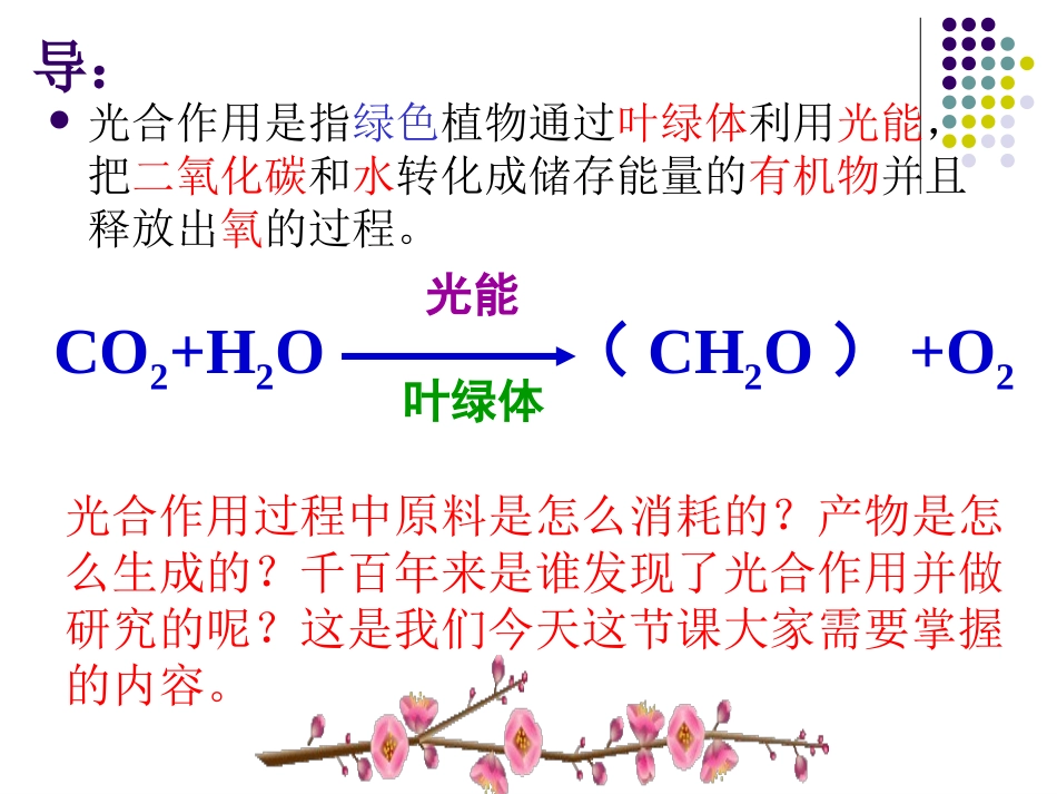 第2课时光合作用的过程_第1页