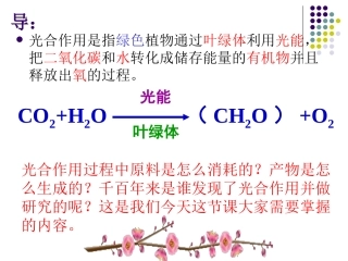第2课时光合作用的过程